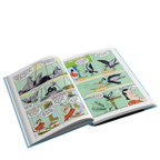 Stories From The Jatakas